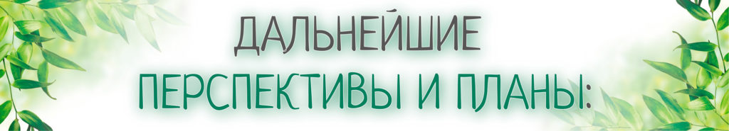 Дальнейшие перспективы и планы развития эко-здравницы